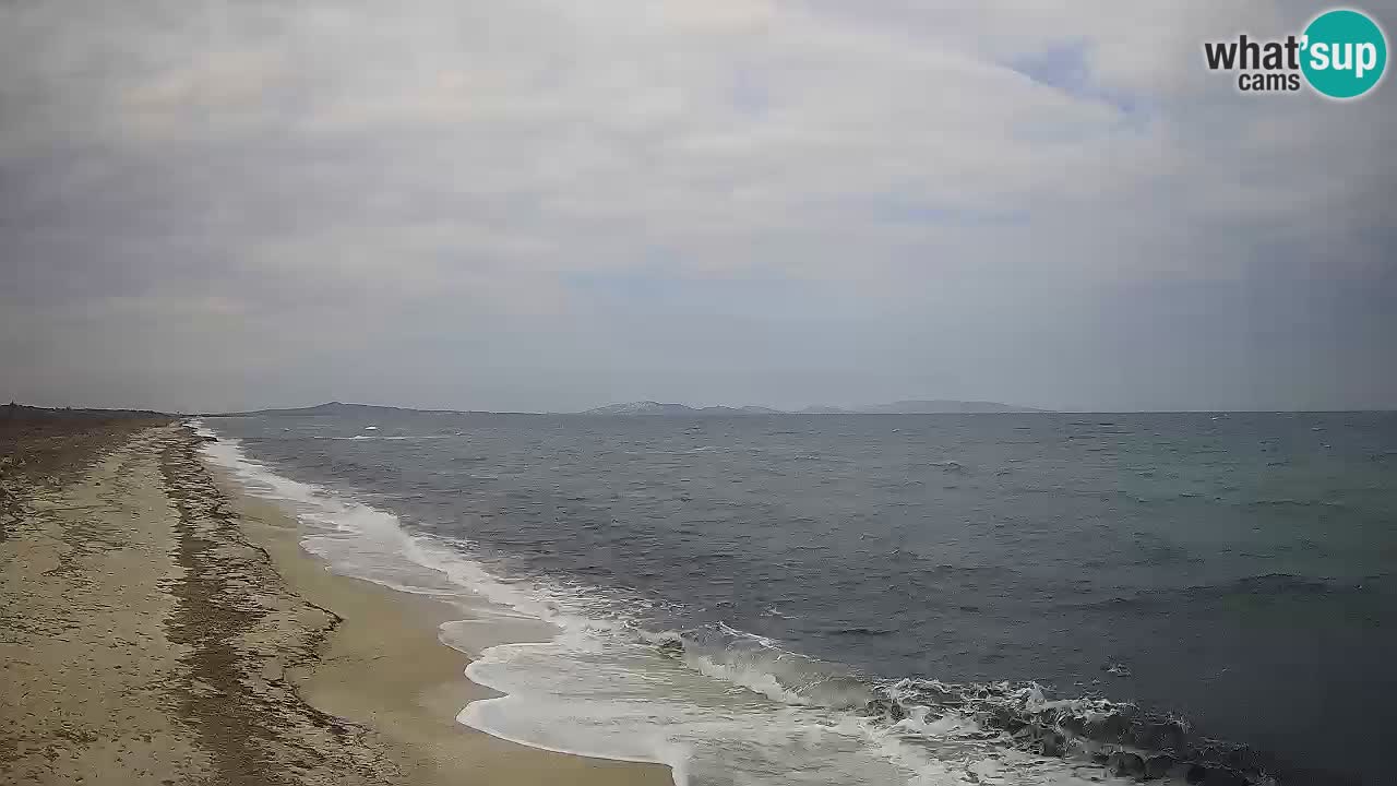 Strand Le Saline webcam Stintino – Sardinien