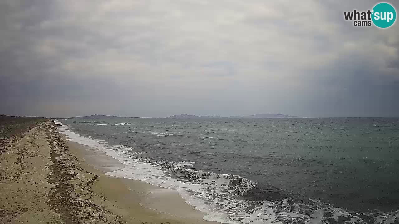 Plaža Le Saline spletna kamera Stintino – Sardinija