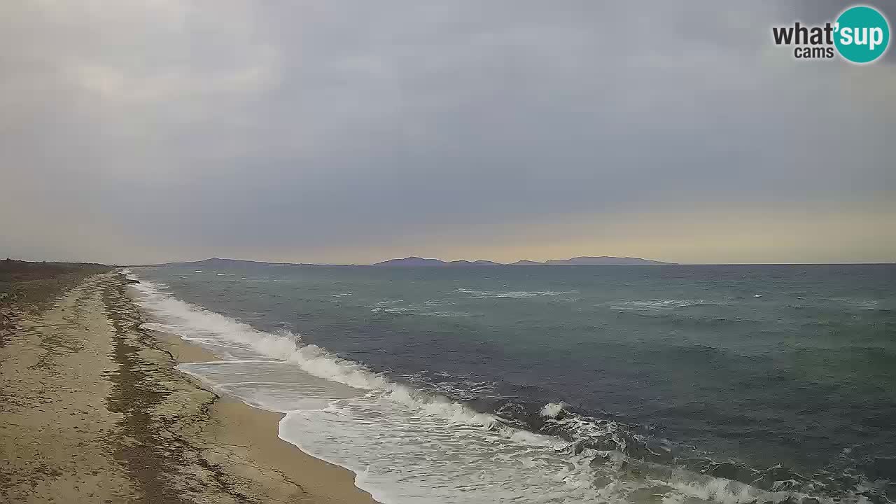 Beach Le Saline webcam live Stintino – Sardinia