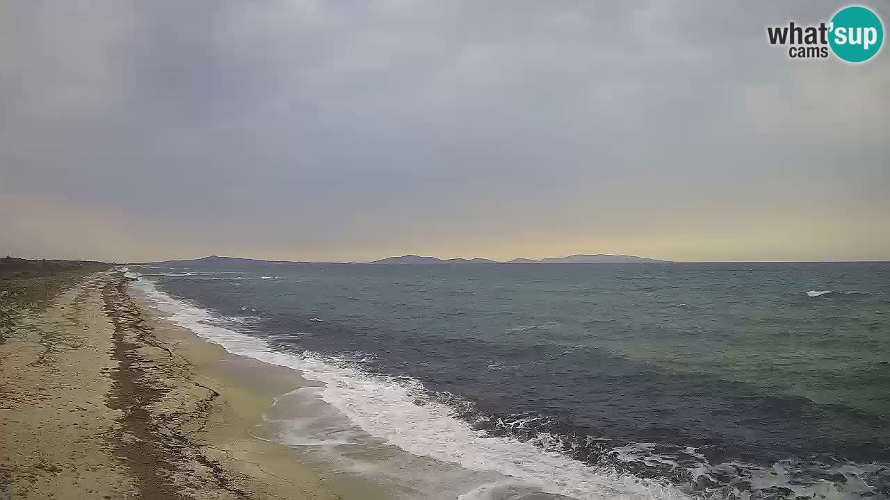 Playa Le Saline camera en vivo Stintino – Cerdeña