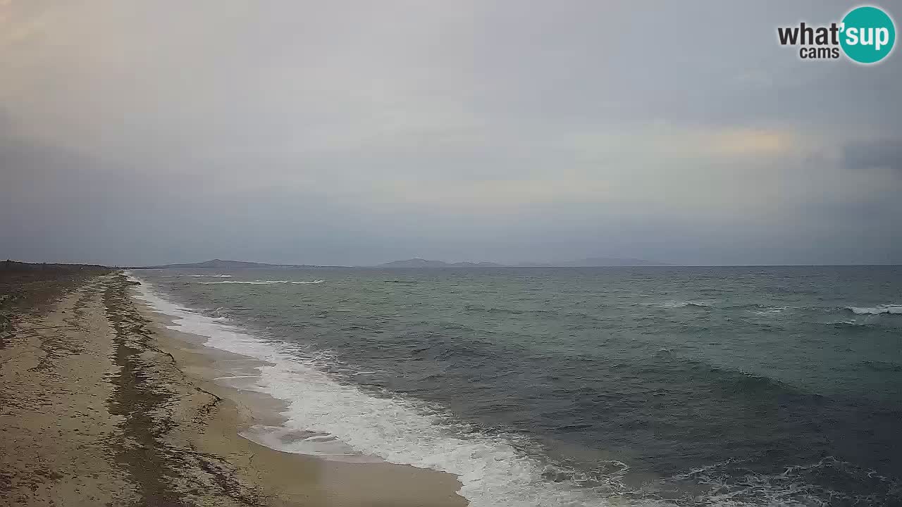 Plaža Le Saline spletna kamera Stintino – Sardinija