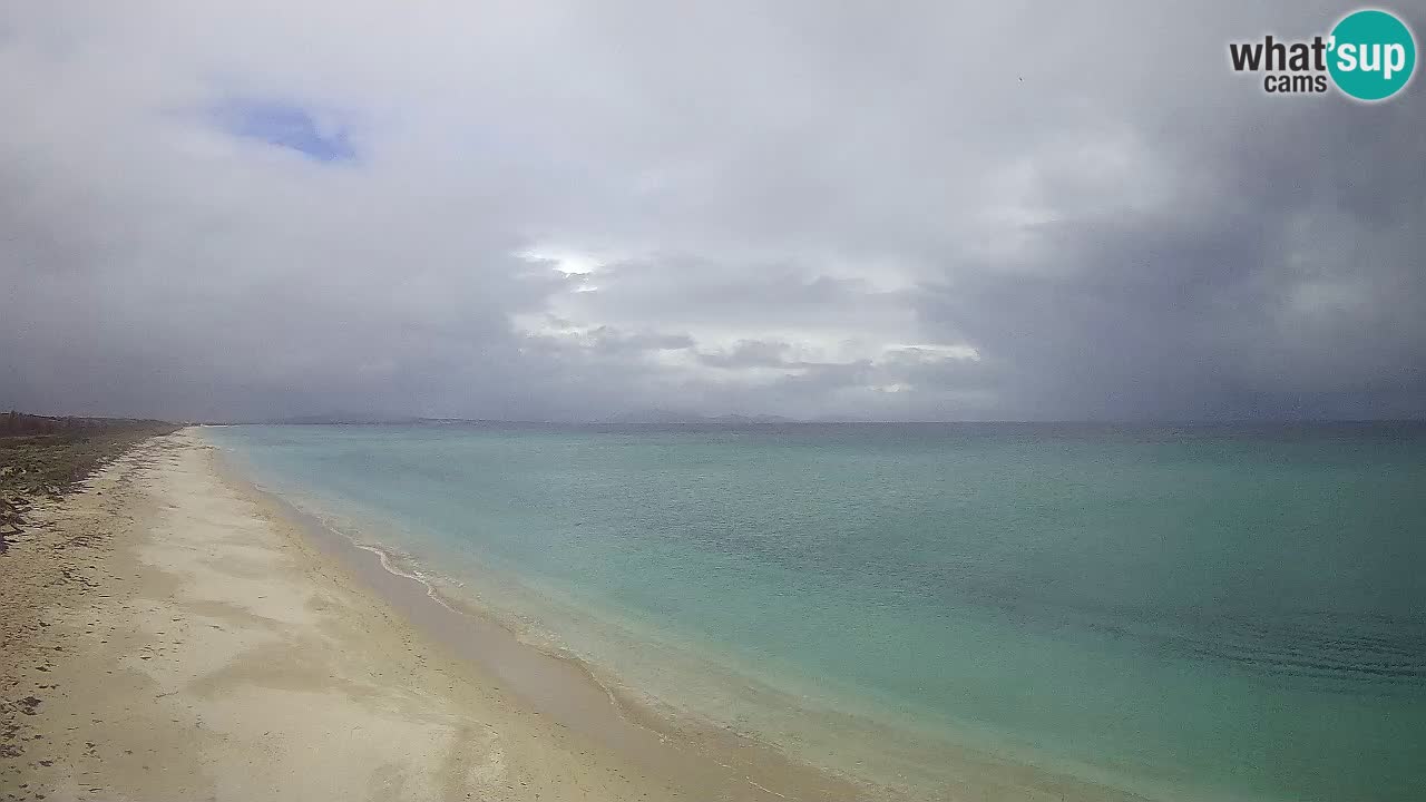 Playa Le Saline camera en vivo Stintino – Cerdeña