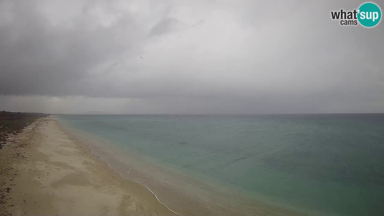 Spiaggia Le Saline webcam Stintino – Sardegna