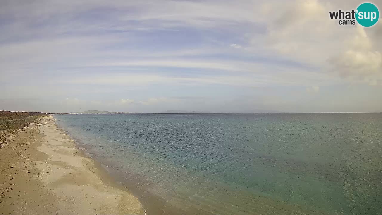 Plaža Le Saline spletna kamera Stintino – Sardinija