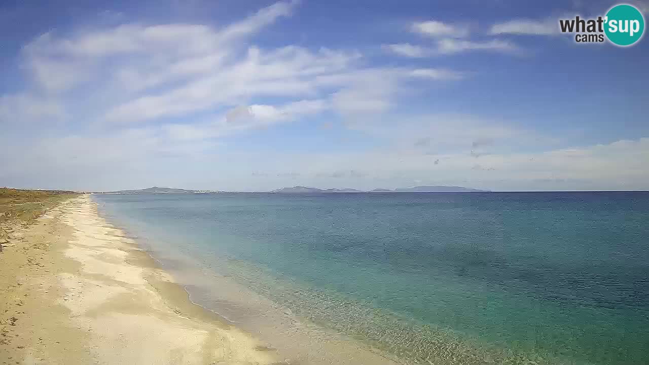 Plage Le Saline Live cam Stintino – Sardaigne