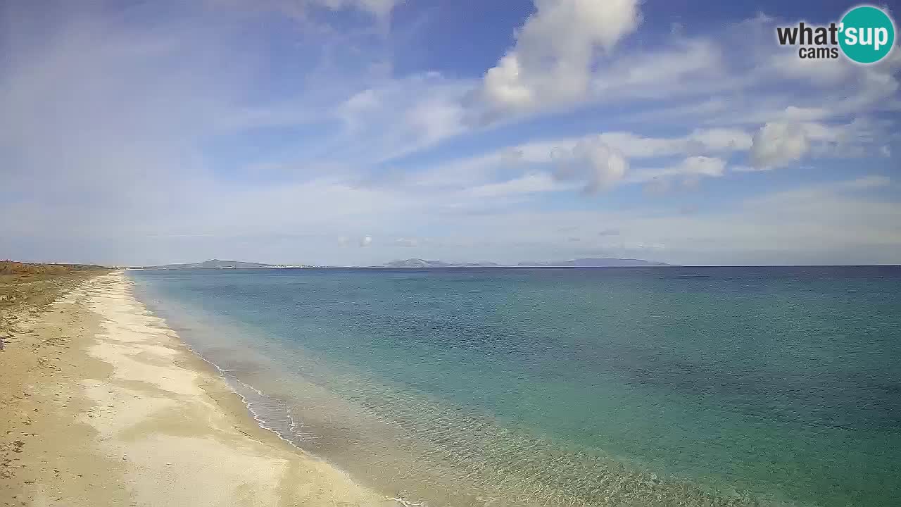 Spiaggia Le Saline webcam Stintino – Sardegna