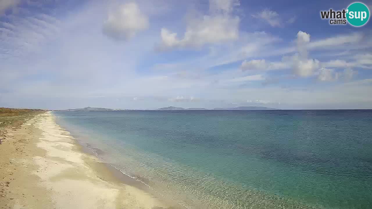 Strand Le Saline webcam Stintino – Sardinien