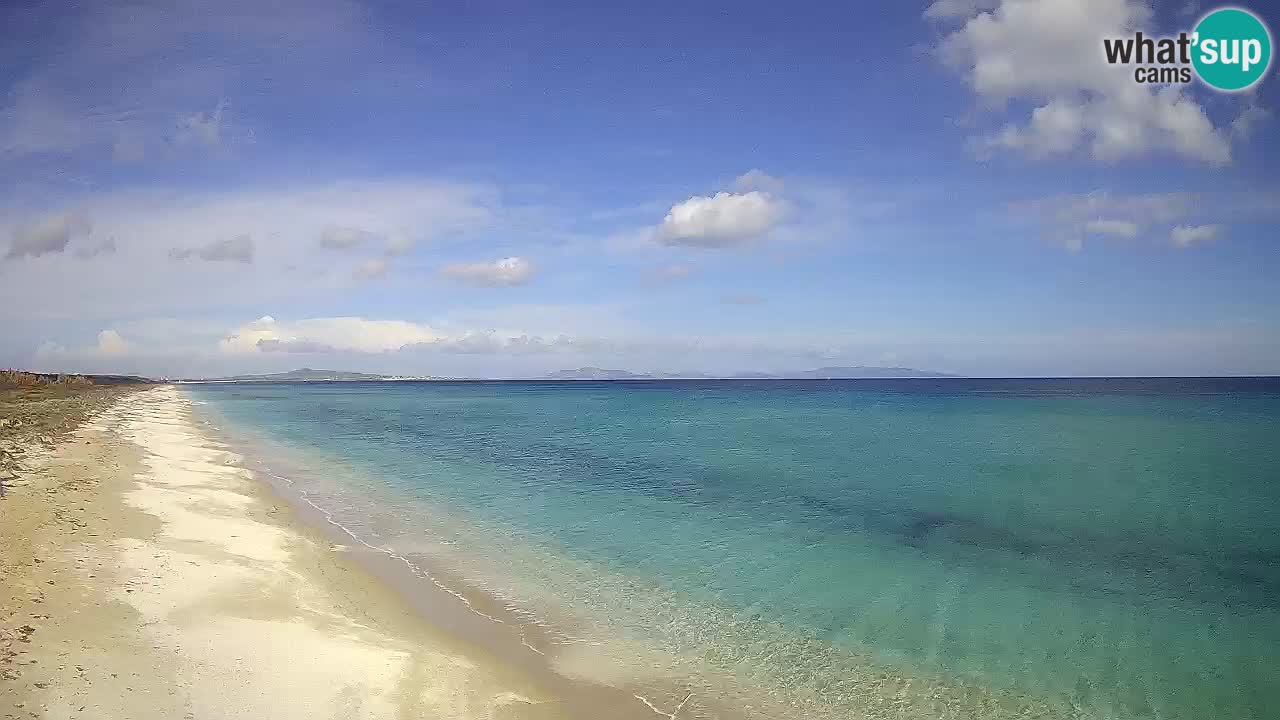 Strand Le Saline webcam Stintino – Sardinien