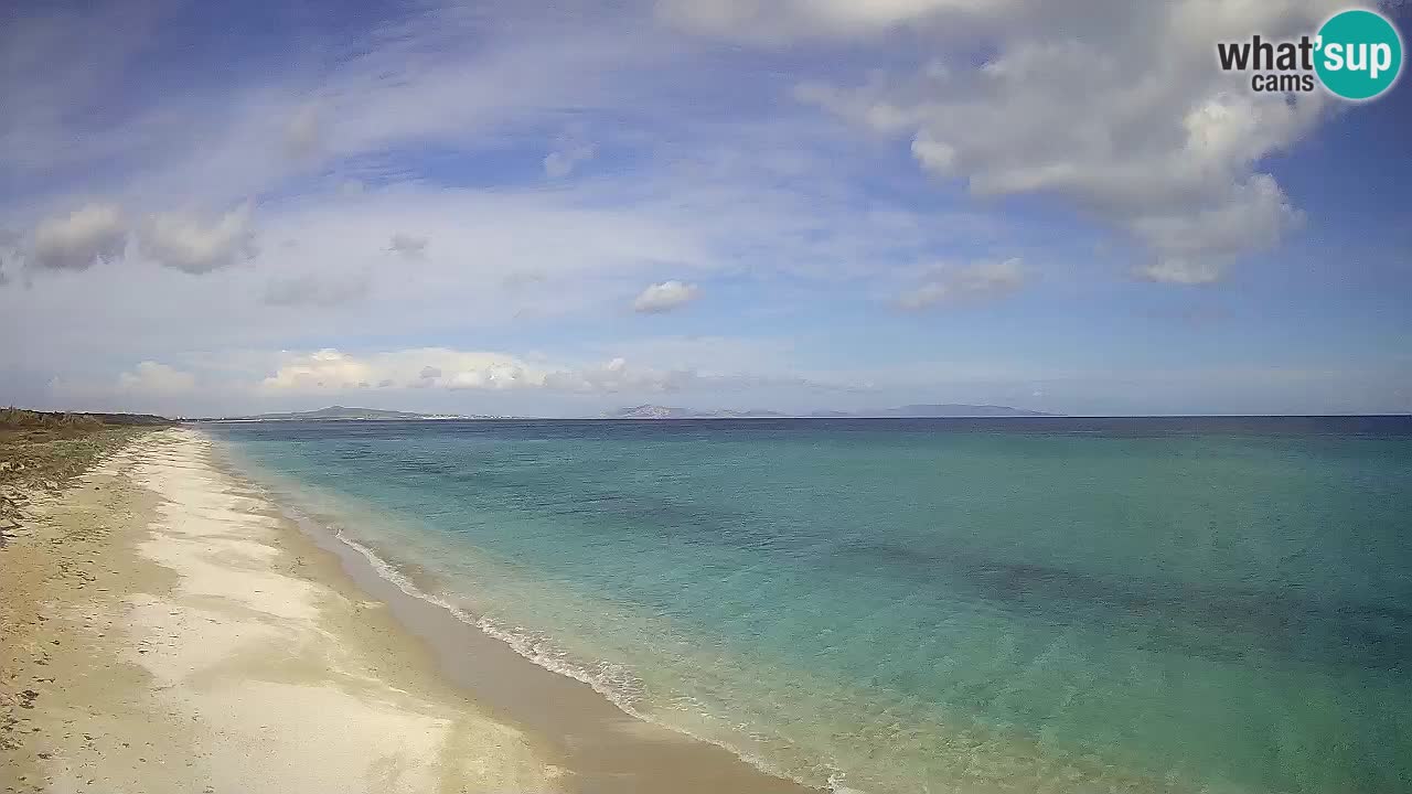 Plaža Le Saline web kamera Stintino – Sardinija