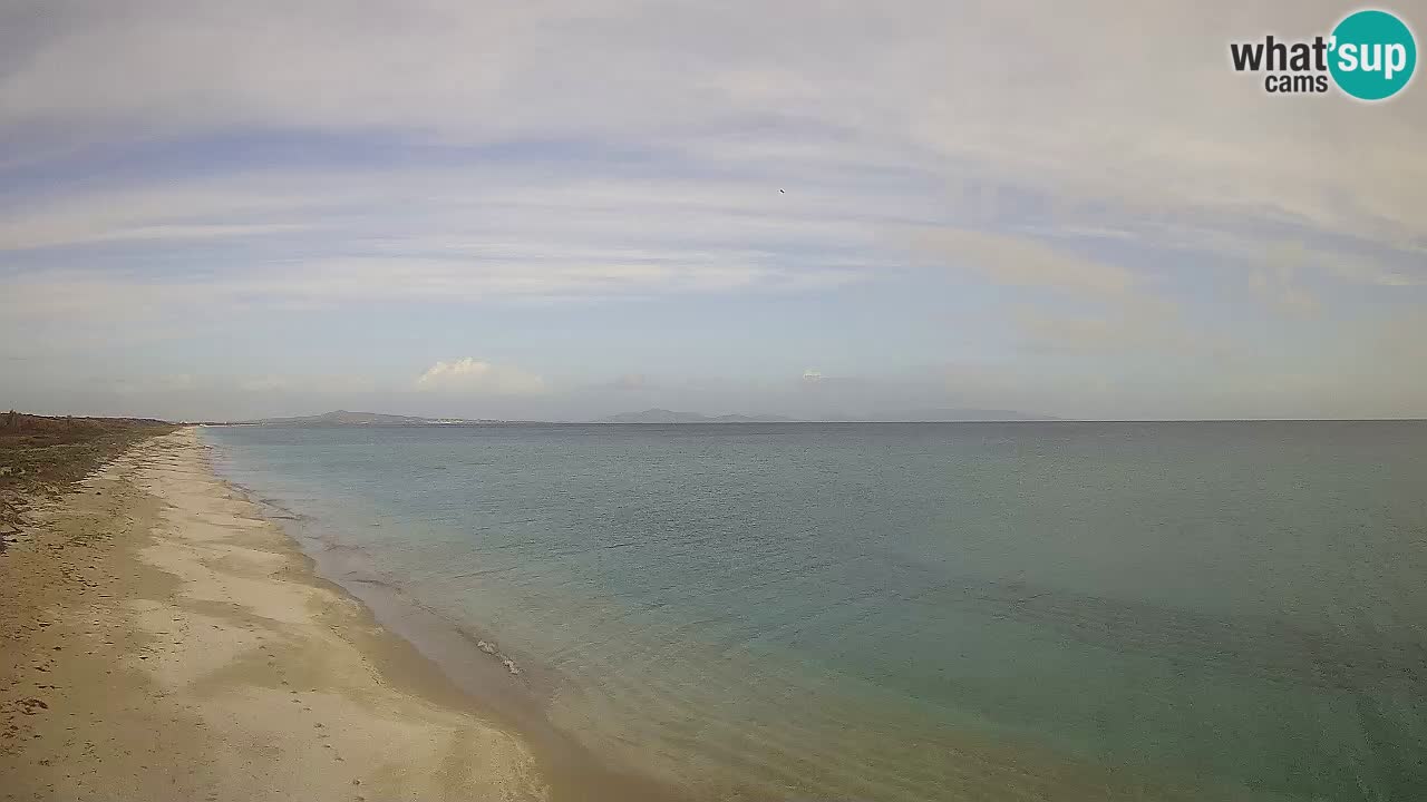 Plaža Le Saline web kamera Stintino – Sardinija