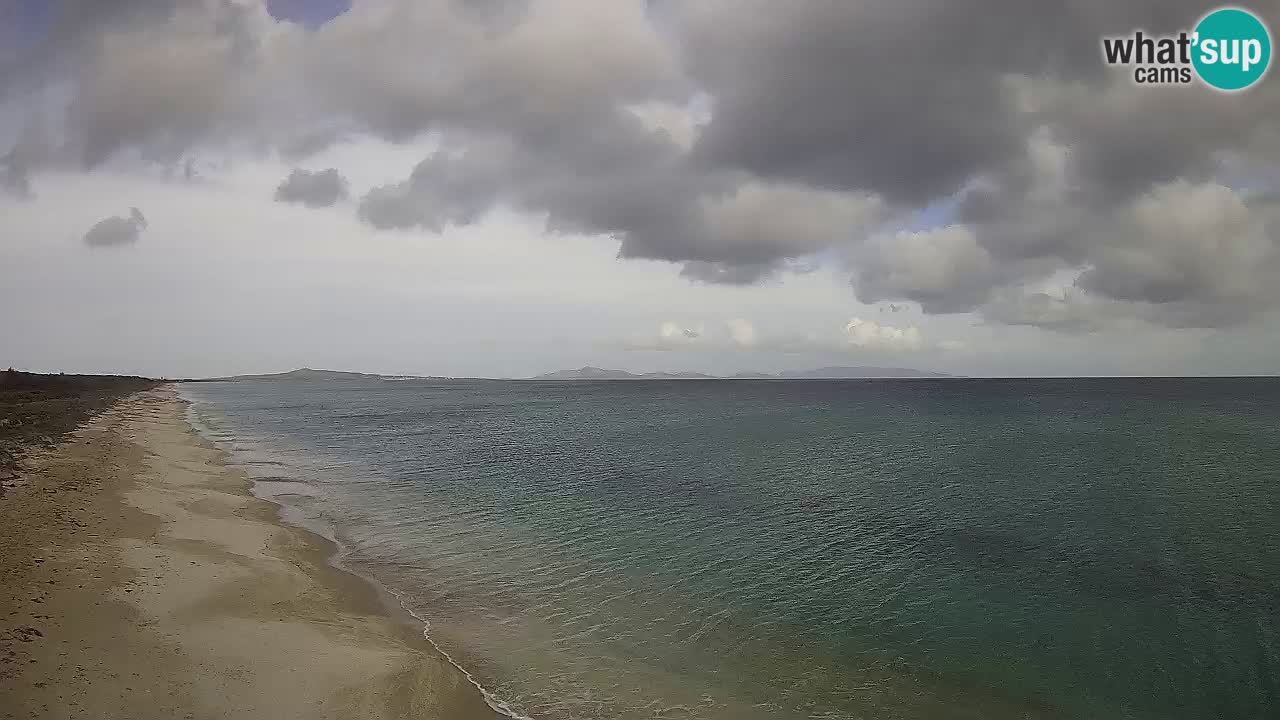 Plaža Le Saline web kamera Stintino – Sardinija