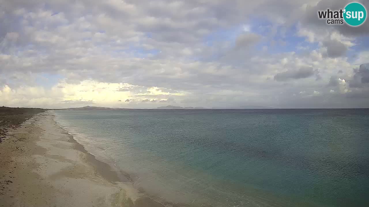 Strand Le Saline webcam Stintino – Sardinien