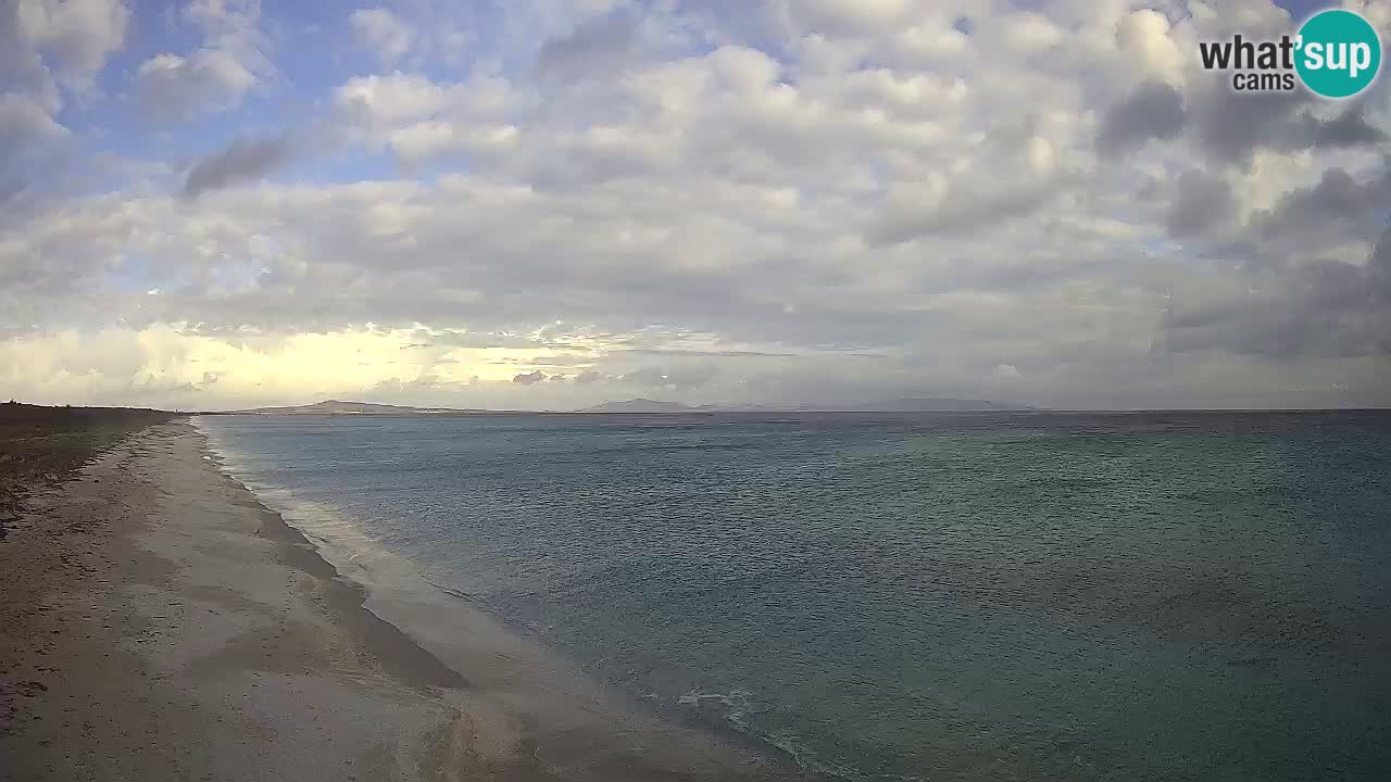 Playa Le Saline camera en vivo Stintino – Cerdeña