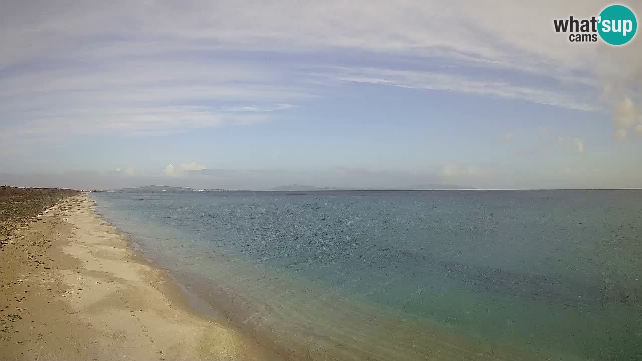 Beach Le Saline webcam live Stintino – Sardinia