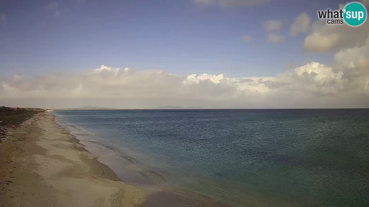 Beach Le Saline webcam live Stintino – Sardinia