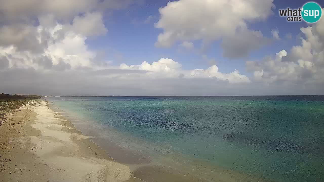 Plaža Le Saline spletna kamera Stintino – Sardinija