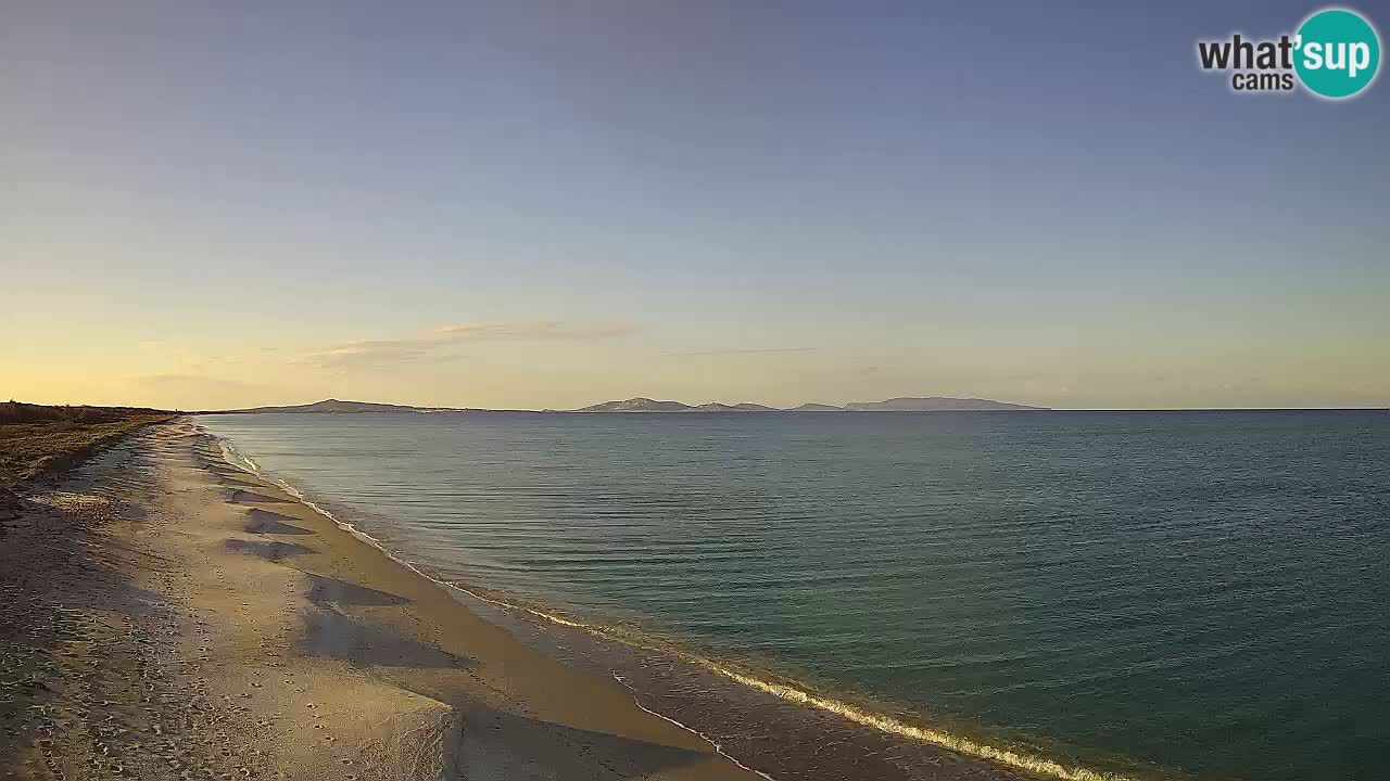 Beach Le Saline webcam live Stintino – Sardinia