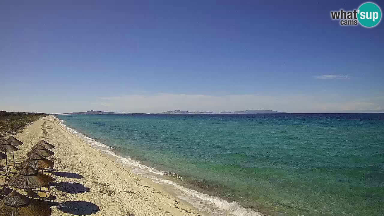 Plage Le Saline Live cam Stintino – Sardaigne