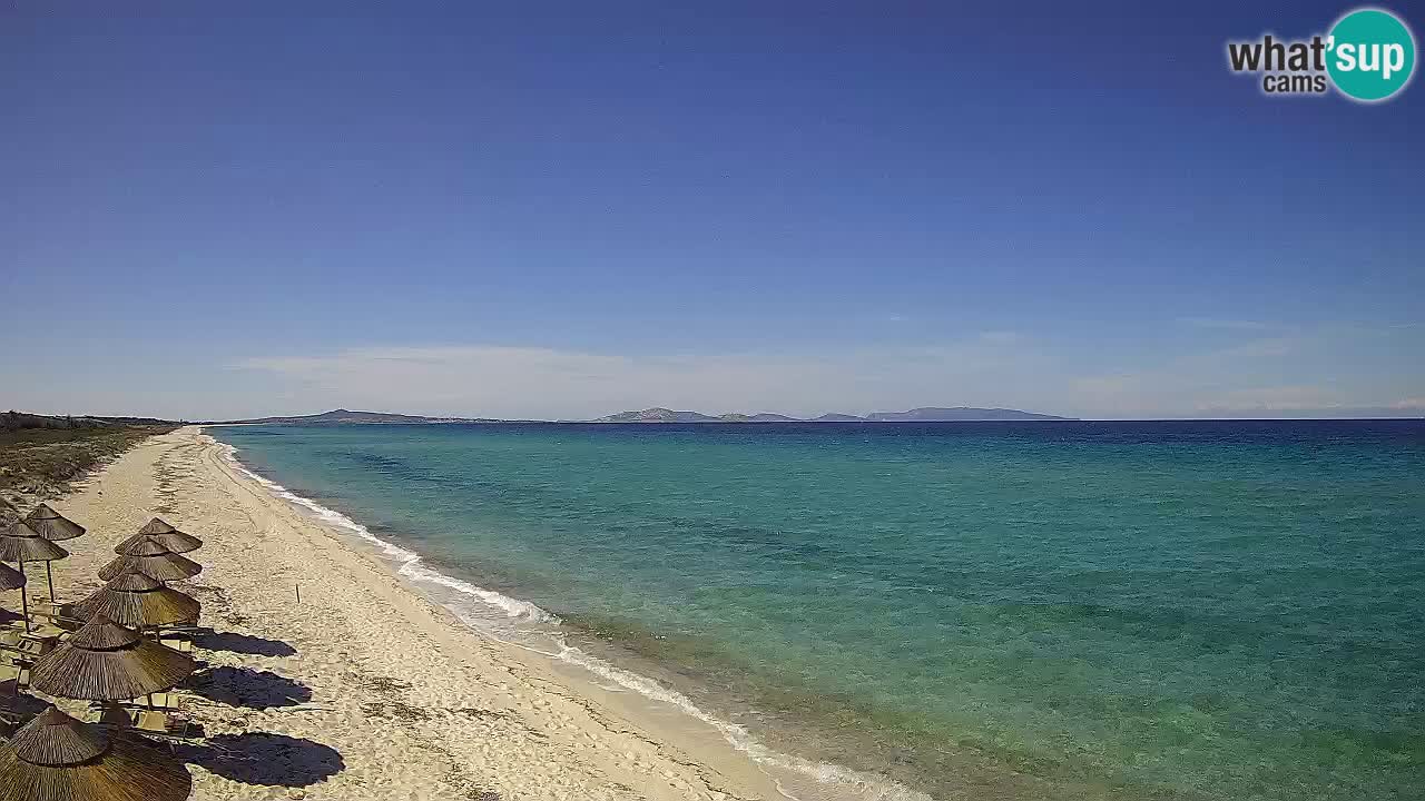 Plaža Le Saline web kamera Stintino – Sardinija