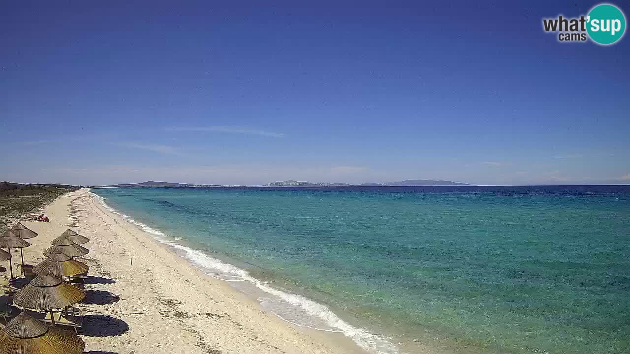 Beach Le Saline webcam live Stintino – Sardinia