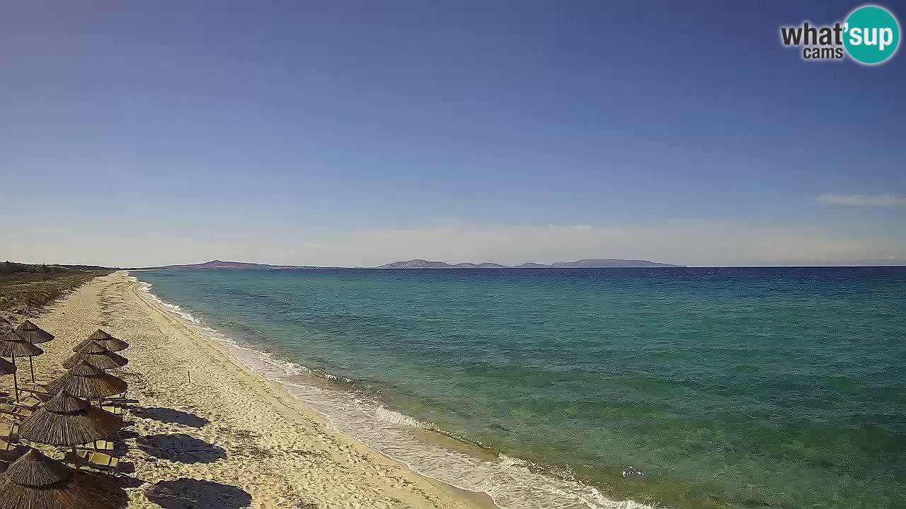Beach Le Saline webcam live Stintino – Sardinia