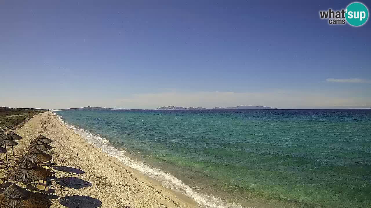 Beach Le Saline webcam live Stintino – Sardinia