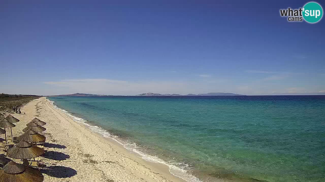 Beach Le Saline webcam live Stintino – Sardinia