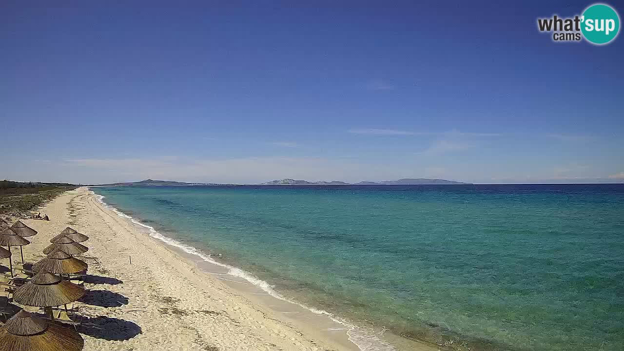 Beach Le Saline webcam live Stintino – Sardinia