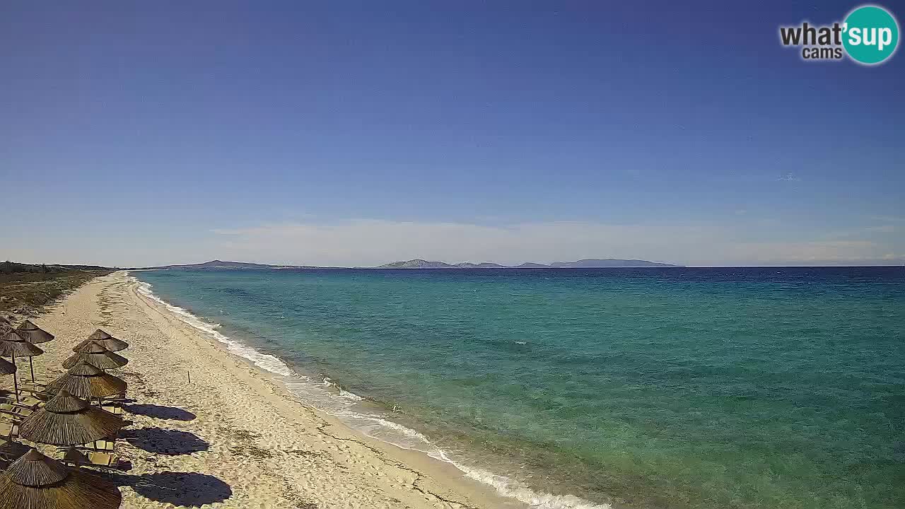 Beach Le Saline webcam live Stintino – Sardinia