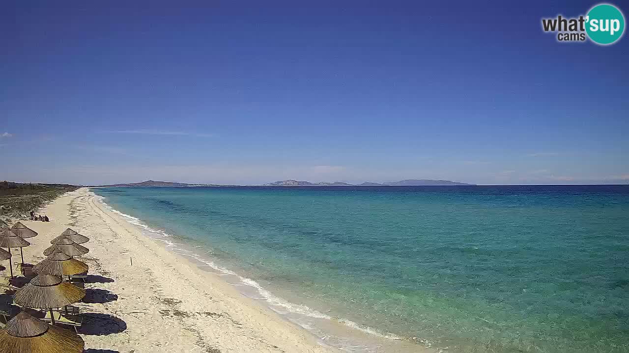Strand Le Saline webcam Stintino – Sardinien