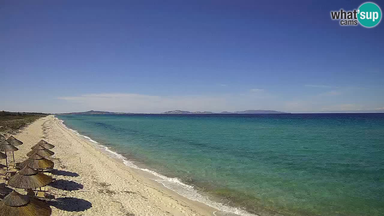 Strand Le Saline webcam Stintino – Sardinien