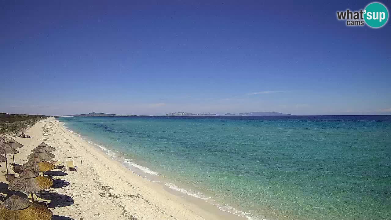 Playa Le Saline camera en vivo Stintino – Cerdeña