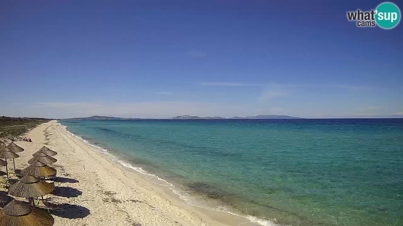 Beach Le Saline webcam live Stintino – Sardinia