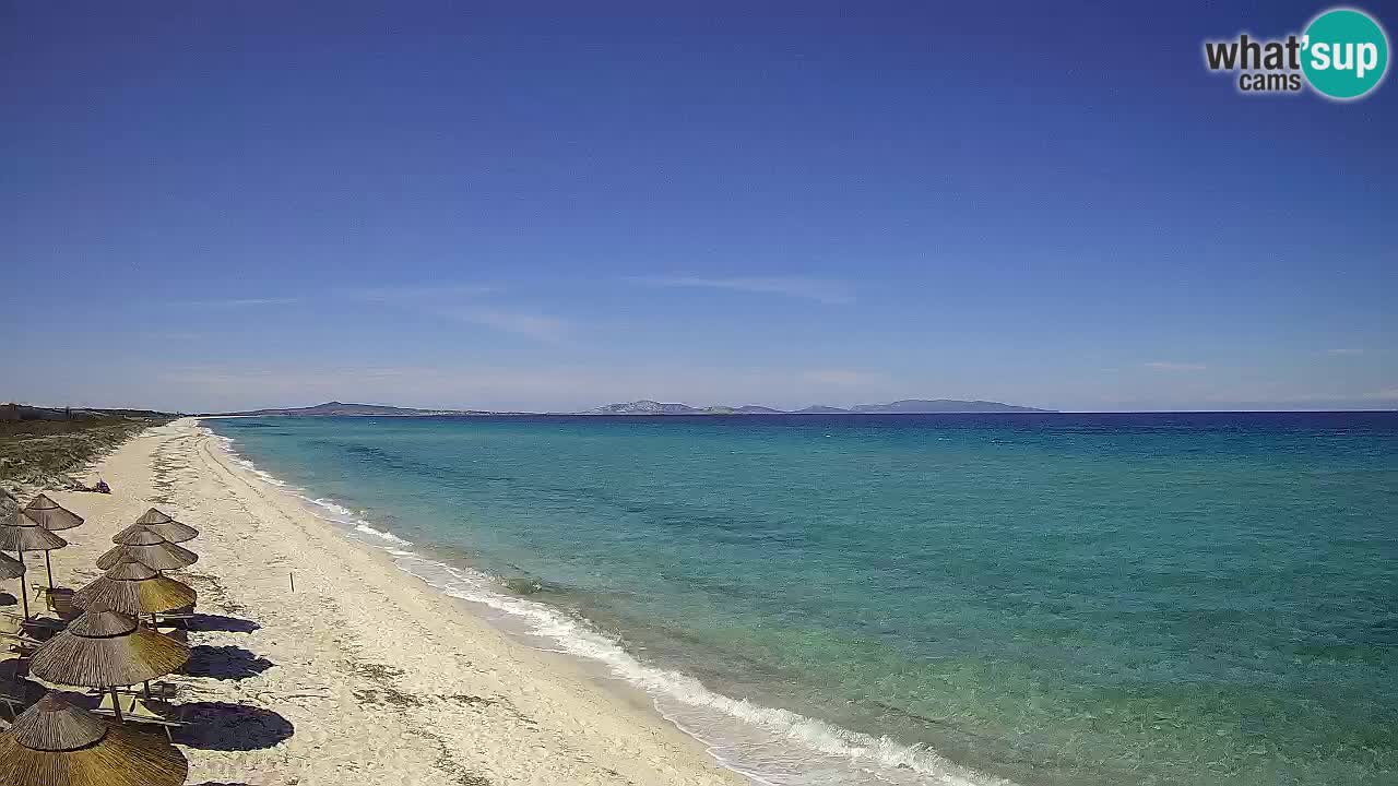 Plage Le Saline Live cam Stintino – Sardaigne
