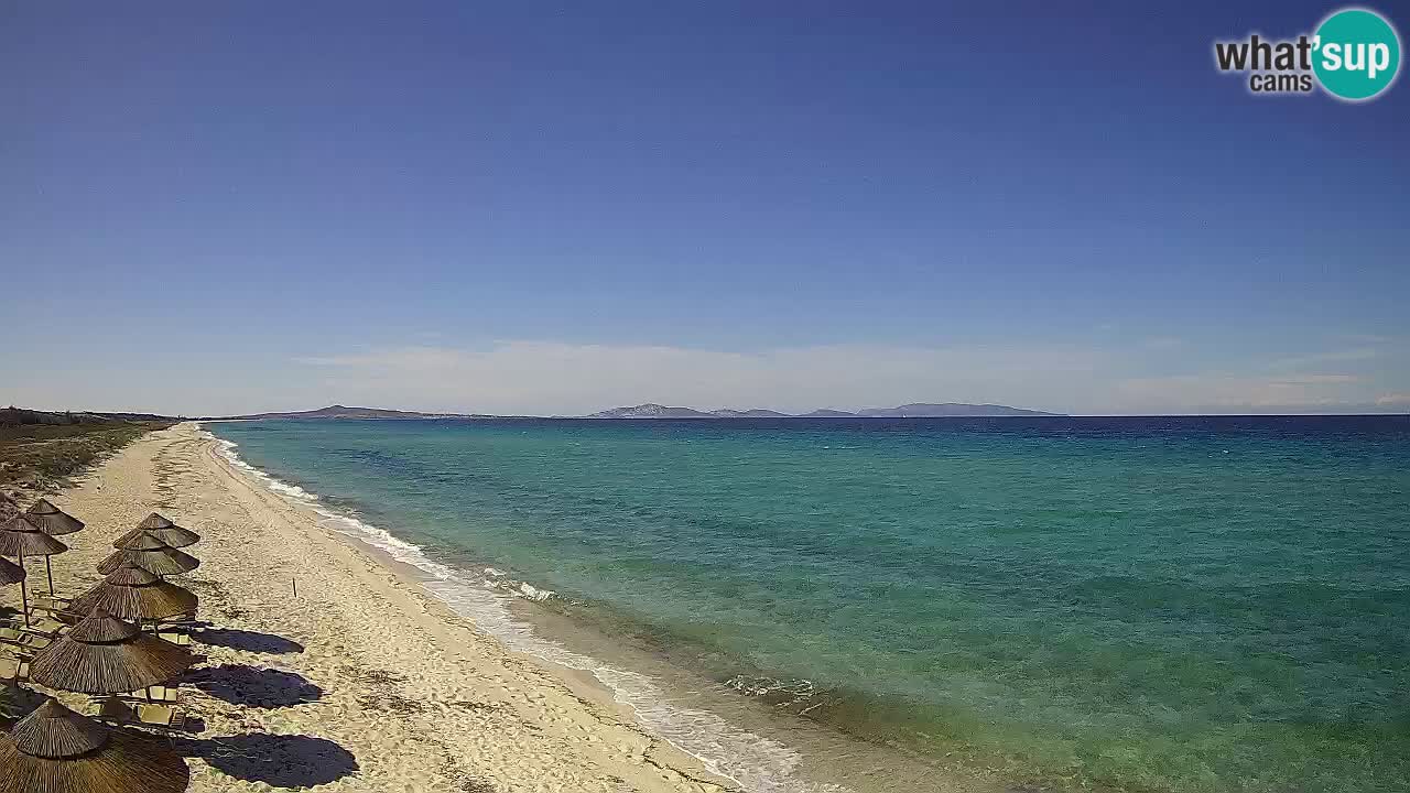 Strand Le Saline webcam Stintino – Sardinien