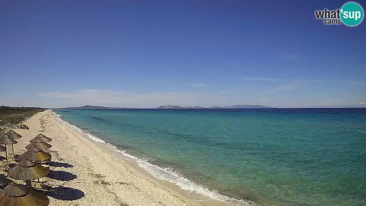Spiaggia Le Saline webcam Stintino – Sardegna