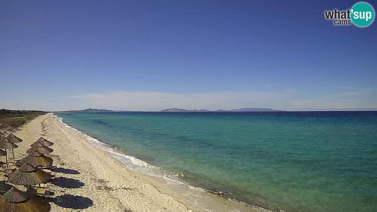 Spiaggia Le Saline webcam Stintino – Sardegna