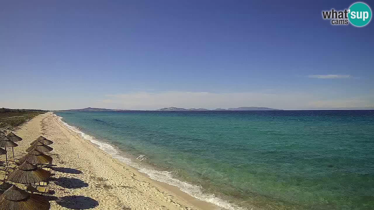 Spiaggia Le Saline webcam Stintino – Sardegna