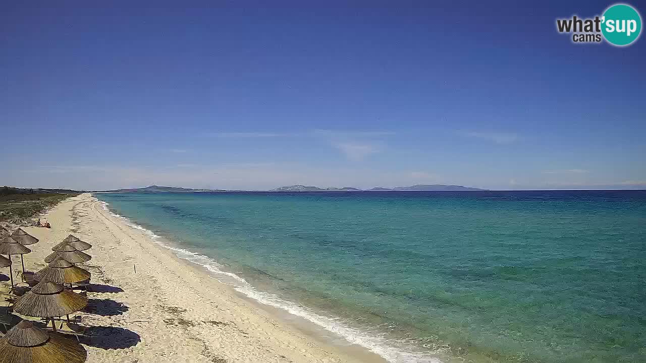 Plaža Le Saline spletna kamera Stintino – Sardinija