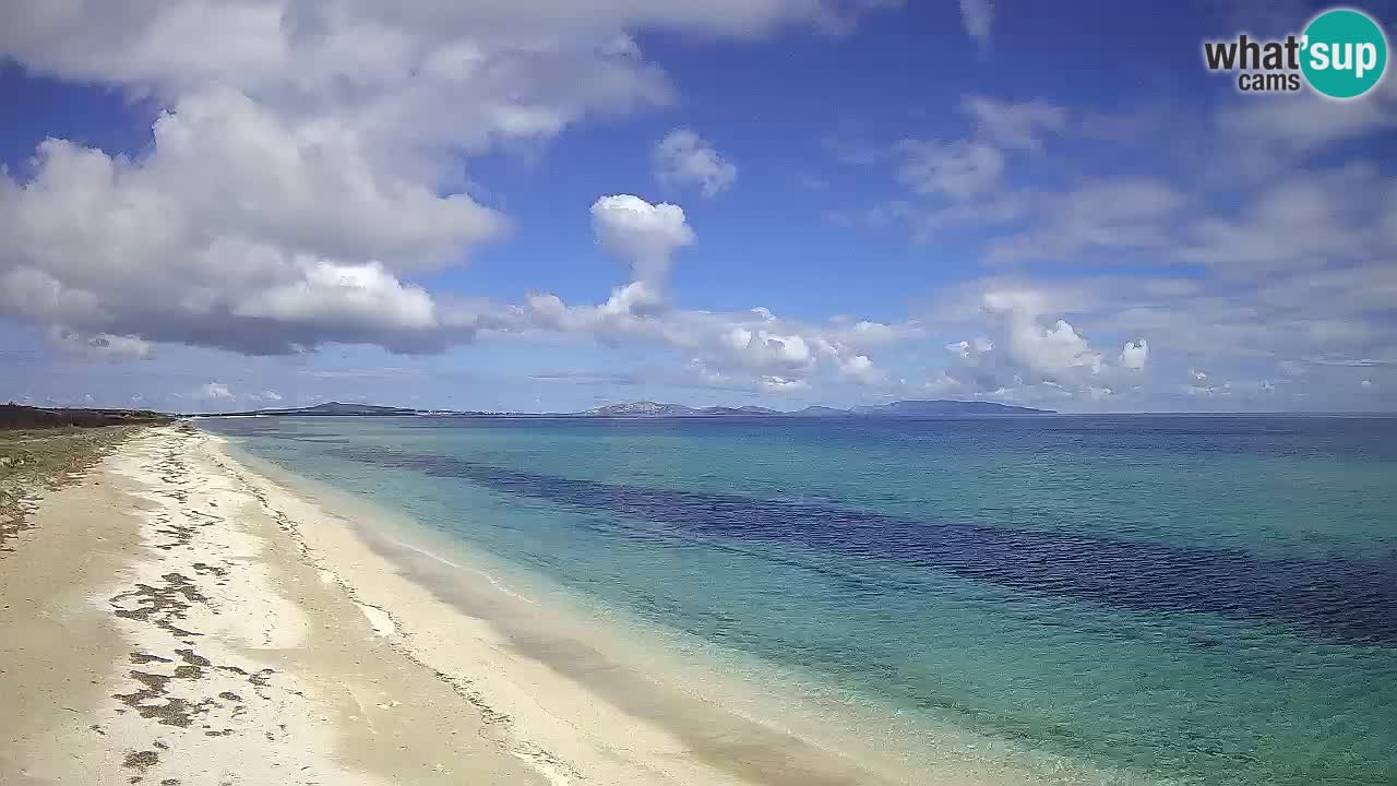 Plaža Le Saline web kamera Stintino – Sardinija