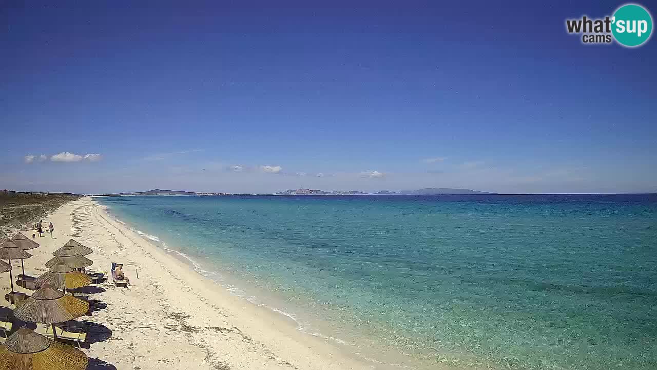Beach Le Saline webcam live Stintino – Sardinia