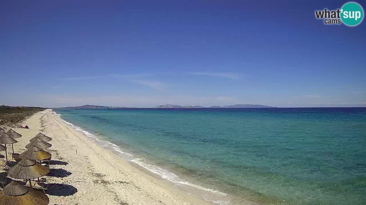 Spiaggia Le Saline webcam Stintino – Sardegna