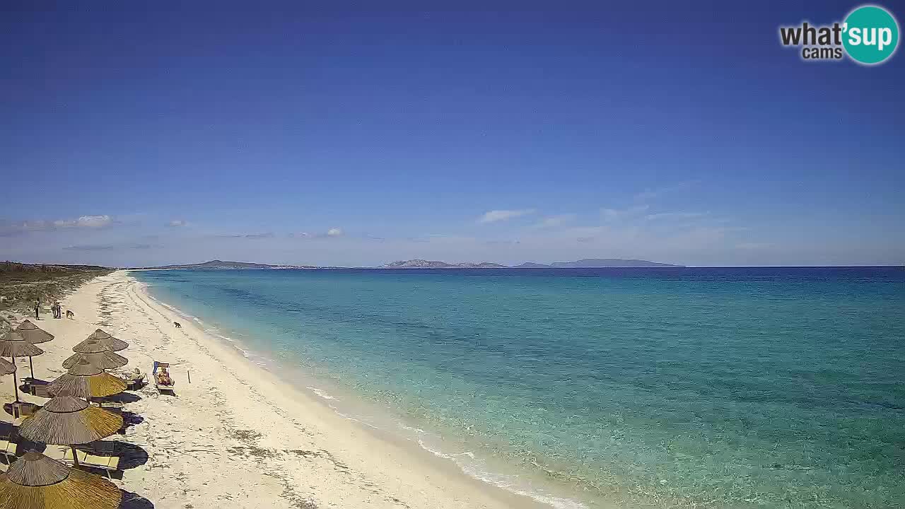 Strand Le Saline webcam Stintino – Sardinien