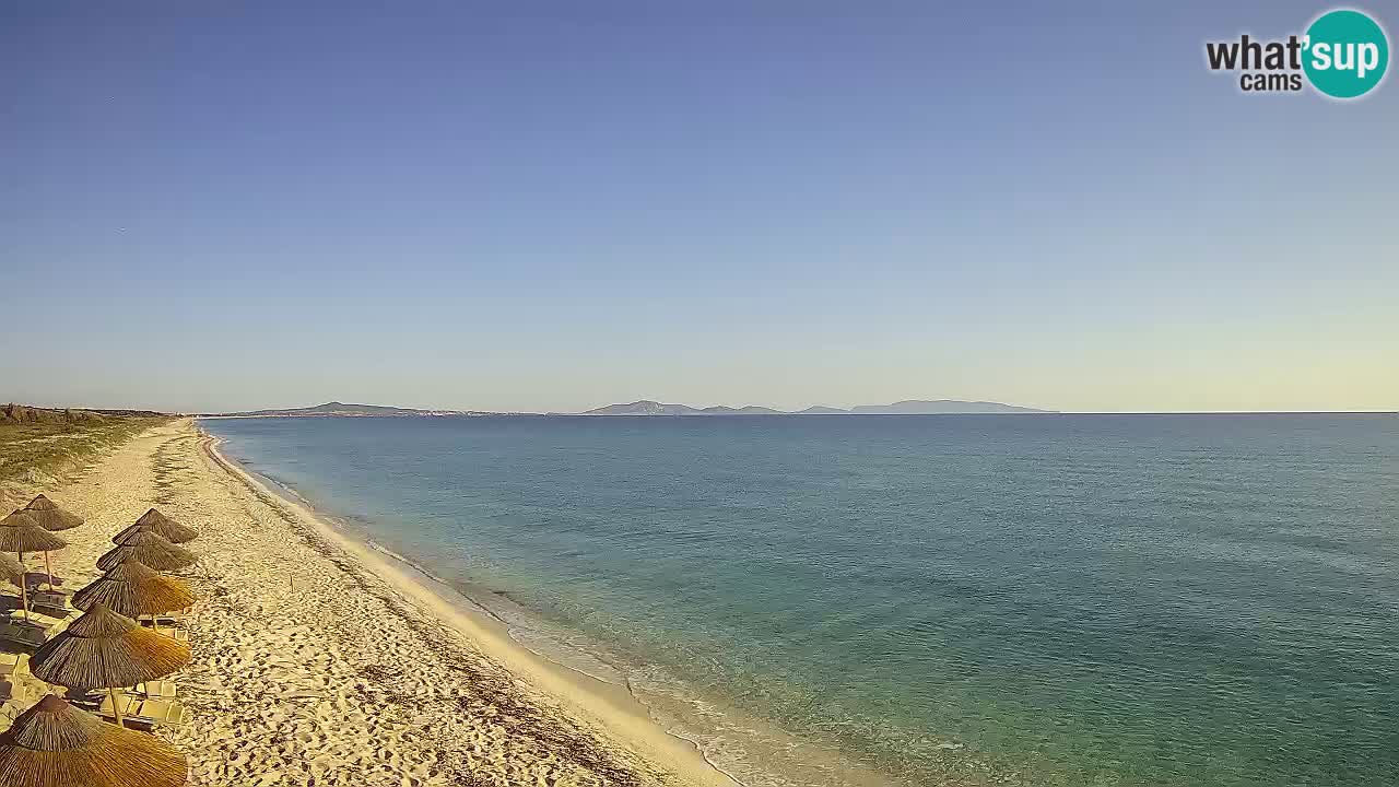 Plaža Le Saline web kamera Stintino – Sardinija