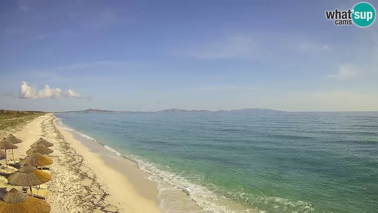 Plage Le Saline Live cam Stintino – Sardaigne