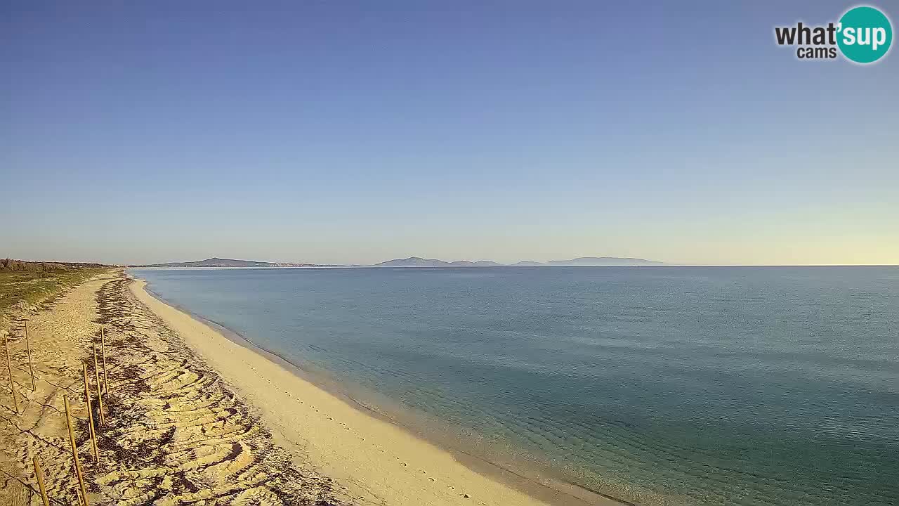 Plage Le Saline Live cam Stintino – Sardaigne
