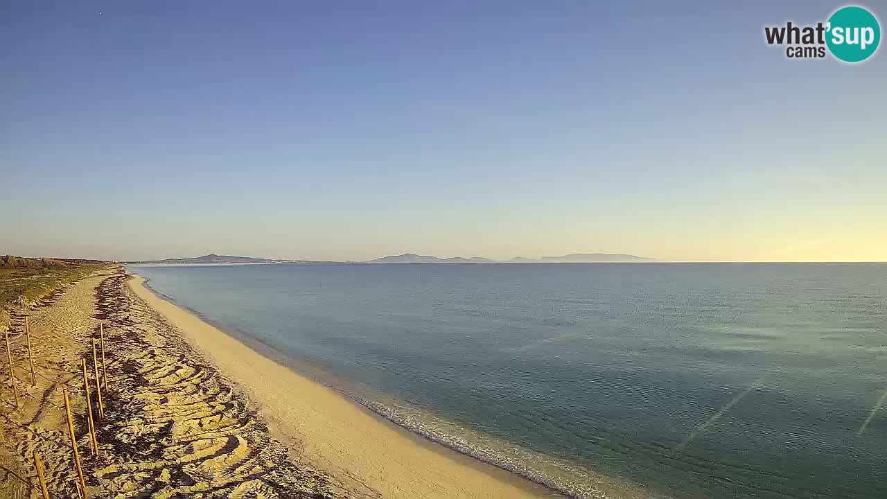 Beach Le Saline webcam live Stintino – Sardinia