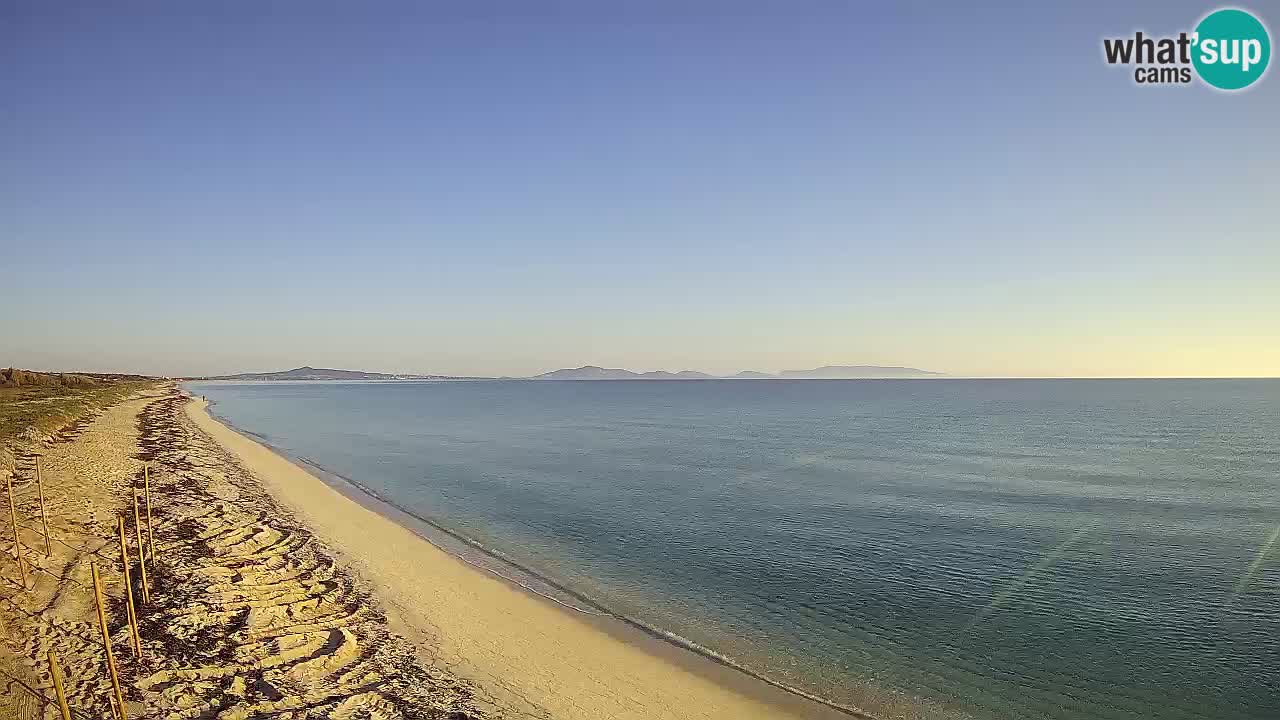 Plaža Le Saline web kamera Stintino – Sardinija