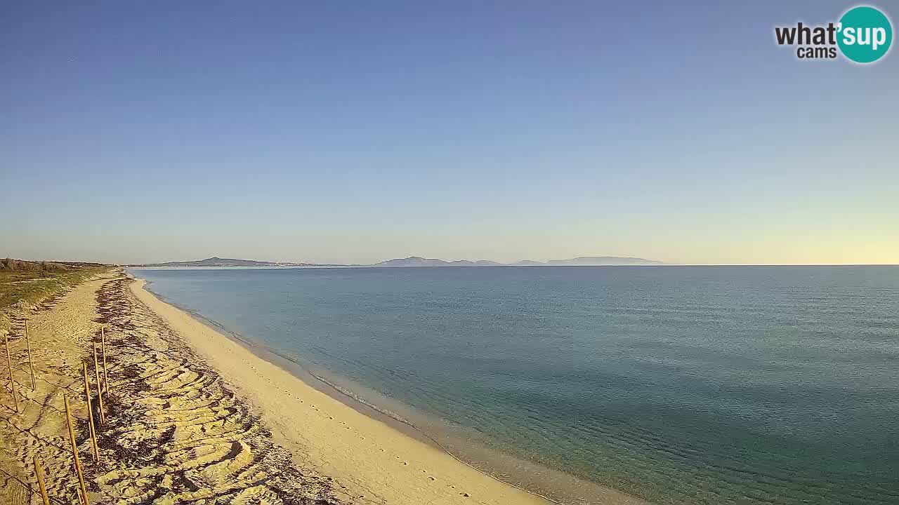 Beach Le Saline webcam live Stintino – Sardinia