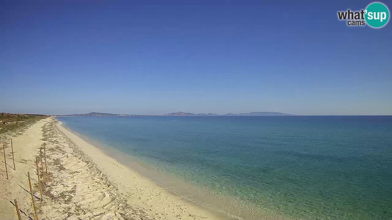 Plaža Le Saline spletna kamera Stintino – Sardinija